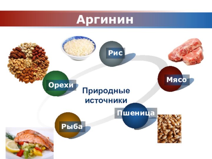 АргининОрехиРыбаПриродные источникиМясоРисПшеница