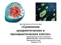 Презентация по биологии на тему Сравнение эукариотических и прокариотических клеток (9 кл)