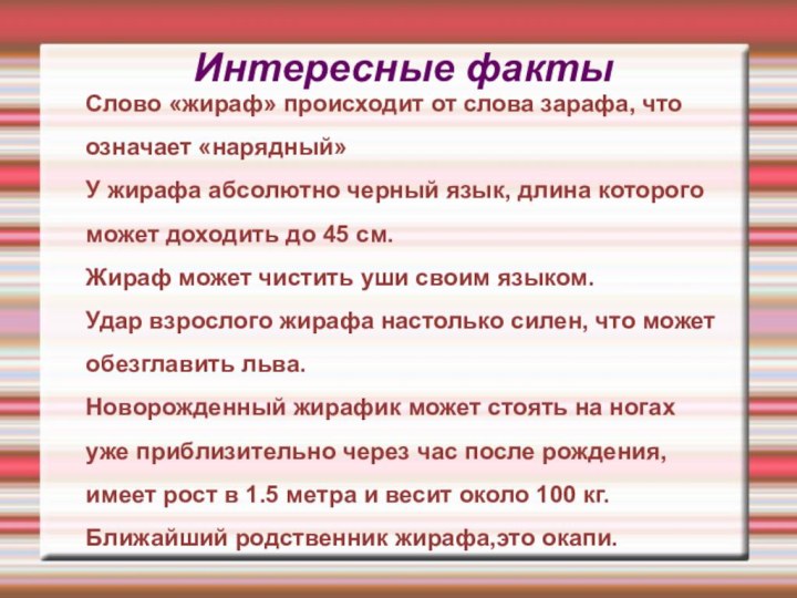 Интересные фактыСлово «жираф» происходит от слова зарафа, что означает «нарядный»У жирафа абсолютно