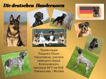 Презентация по немецкому языку на тему Немецкие породы собак (5 класс)