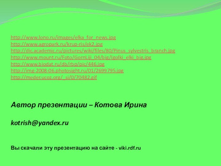 http://www.lono.ru/images/elka_for_news.jpghttp://www.agropark.ru/krup-ris/ek2.jpghttp://dic.academic.ru/pictures/wiki/files/80/Pinus_sylvestris_branch.jpghttp://www.mount.ru/Foto/GornLiji_04/big/Igolki_elki_big.jpghttp://www.biodat.ru/db/rbp/pic/446.jpghttp://img-2008-06.photosight.ru/01/2699795.jpghttp://meder.ucoz.org/_si/0/70482.gifАвтор презентации – Котова Ирина  kotrish@yandex.ru Вы скачали эту презентацию на сайте - viki.rdf.ru