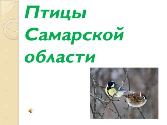 Презентация для детей старшего дошкольного возраста на тему Птицы Самарской области