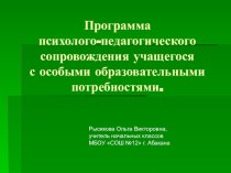 Презентация Программа психолого-педагогического сопровождения