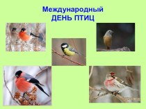 Презентация, посвященная к международному дню птиц