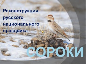 Презентация и разработка НПК праздника Сороки