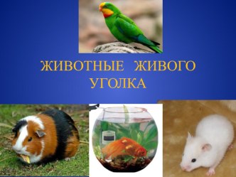 Презентация по окружающему миру Животные живого уголка