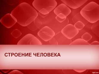 Презентация к конспекту урока окружающего мира Кровь (ОНЗ)