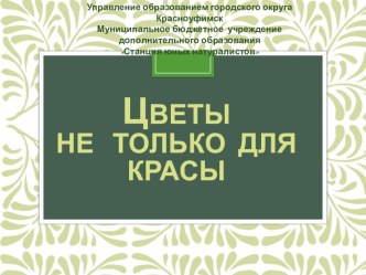 Презентация к проекту Цветы не только для красы