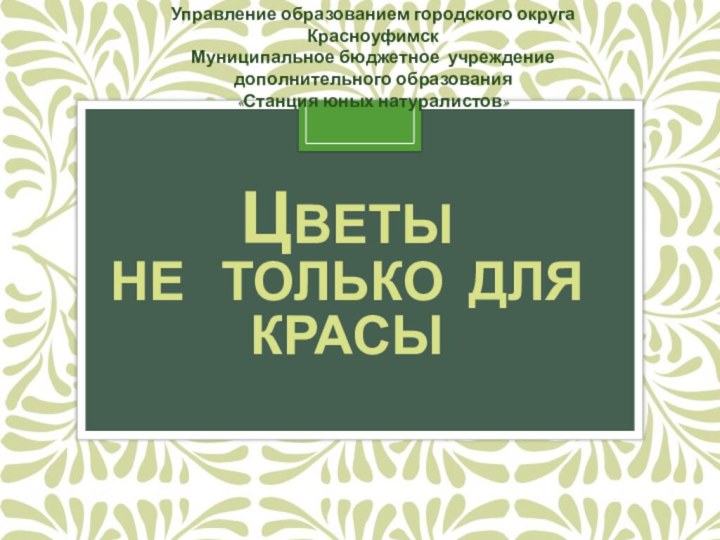 Цветы  не  только для  красыУправление образованием городского округа КрасноуфимскМуниципальное