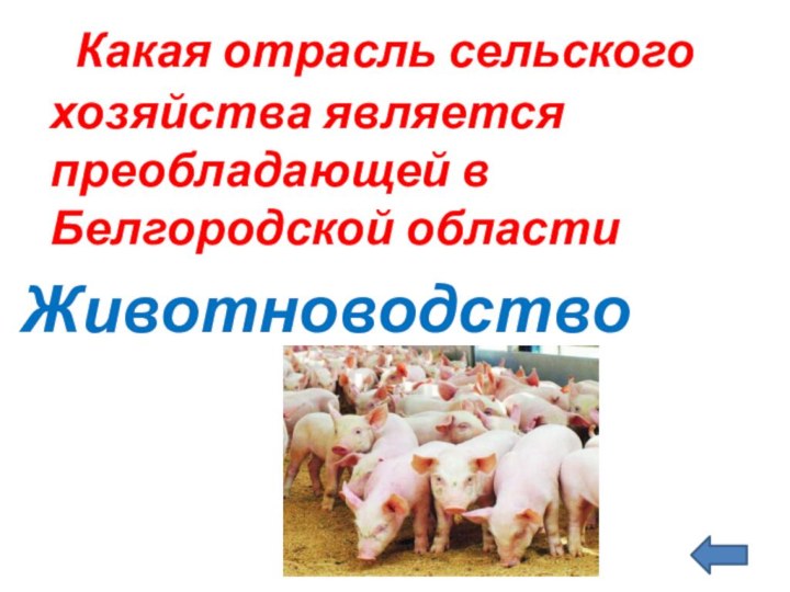 Какая отрасль сельского хозяйства является преобладающей в Белгородской областиЖивотноводство