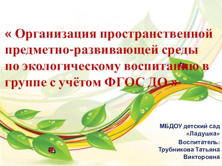 « Организация пространственной предметно-развивающей среды по экологическому воспитанию в группе с учётом