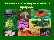 Презентация по биологии на тему Биология-наука о живой природе (10 класс)