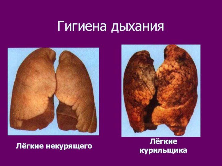 Гигиена дыханияЛёгкие некурящегоЛёгкие курильщика