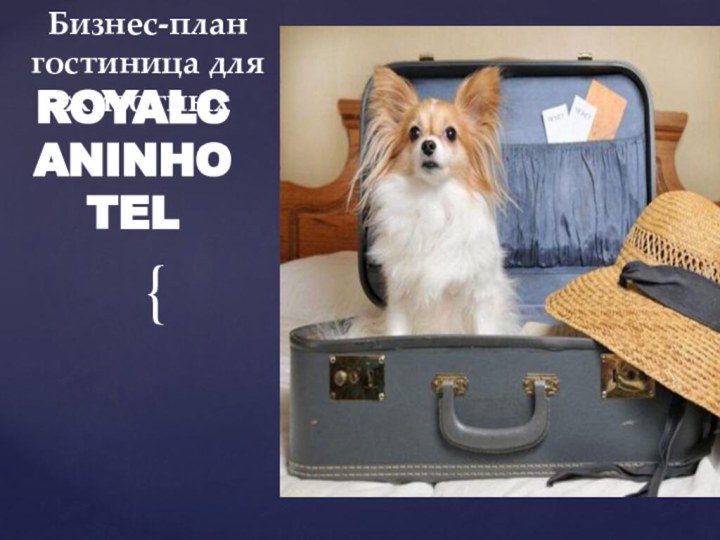 ROYALCANINHOTELБизнес-план гостиница для животных