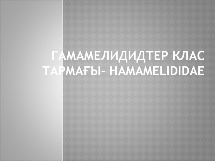 ГАМАМЕЛИДИДТЕР КЛАС ТАРМАҒЫ- HAMAMELIDIDAE