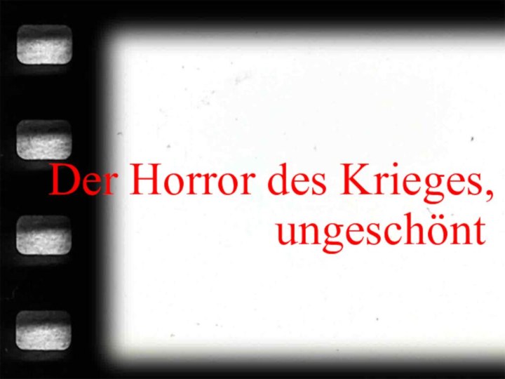 Der Horror des Krieges,ungeschönt