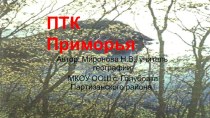 Презентация по географии на темуПриродно - территориальный комплекс Приморья (9 класс)
