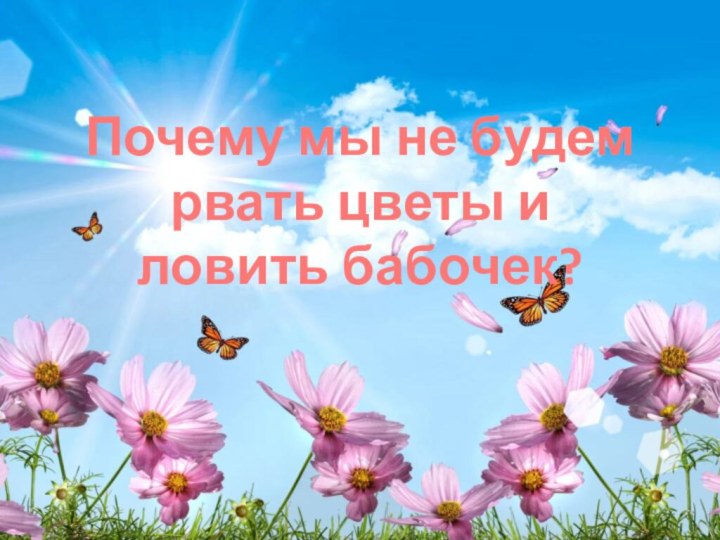 Почему мы не будем рвать цветы и ловить бабочек?