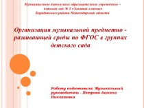 Организация музыкальной предметно - развивающей среды по ФГОС в группах детского сада