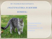 : Математика в жизни кошек