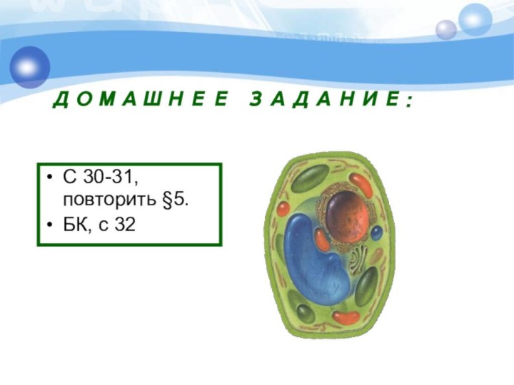 ДОМАШНЕЕ ЗАДАНИЕ:С 30-31, повторить §5.БК, с 32