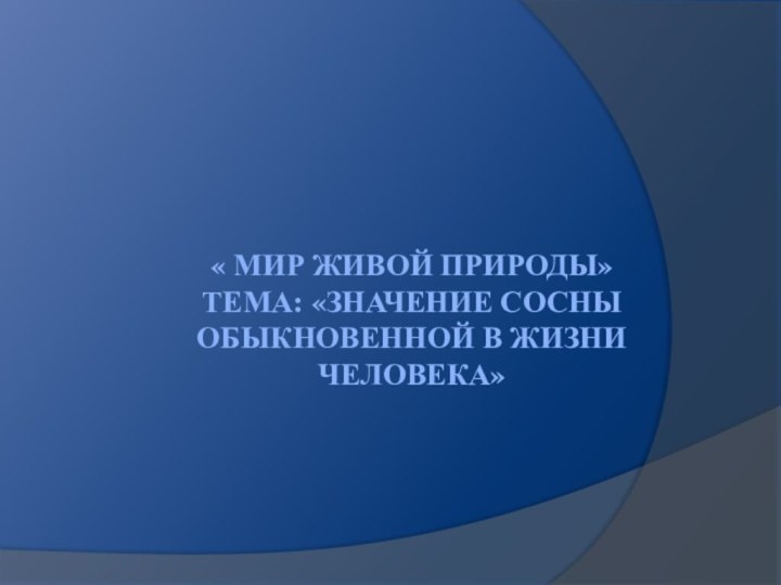 « Мир живой природы» Тема: «Значение сосны обыкновенной в жизни человека»