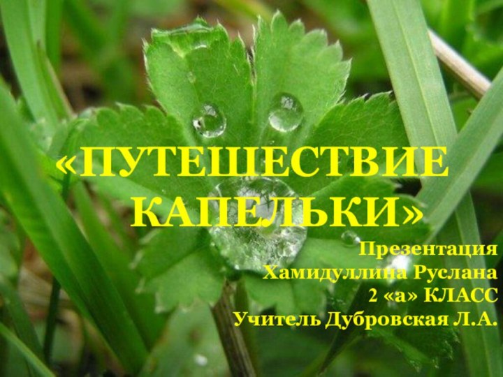 «ПУТЕШЕСТВИЕ   КАПЕЛЬКИ»Презентация   Хамидуллина Руслана2 «а» КЛАССУчитель Дубровская Л.А.