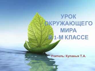 Презентация по окружающему миру на тему: Всех приютила наша планета, только для мусора места здесь нет!