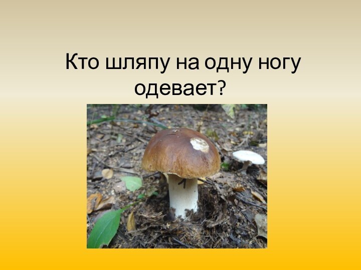 Кто шляпу на одну ногу одевает?