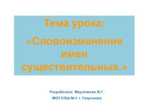 Презентация Русский язык 3 класс на тему  Имя прилагательное