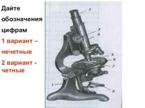 Презентация по биологии на тему Строение клетки (5 класс)