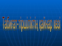 Презентация по казахскому языку на тему Табиғат Tabigat (6 класс)