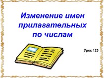 Презентация по русскому языку Число имён прилагательных