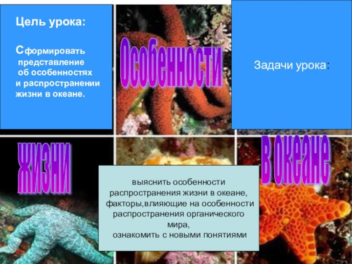 Цель урока:Сформировать представление об особенностях и распространении жизни в океане.Задачи урока:выяснить особенности