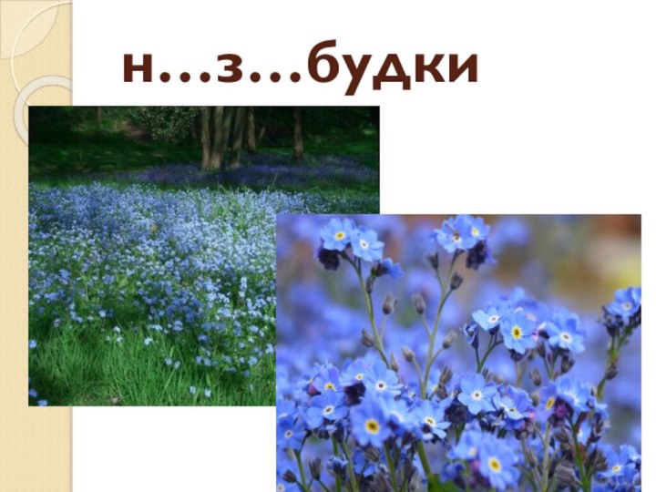 н…з…будки