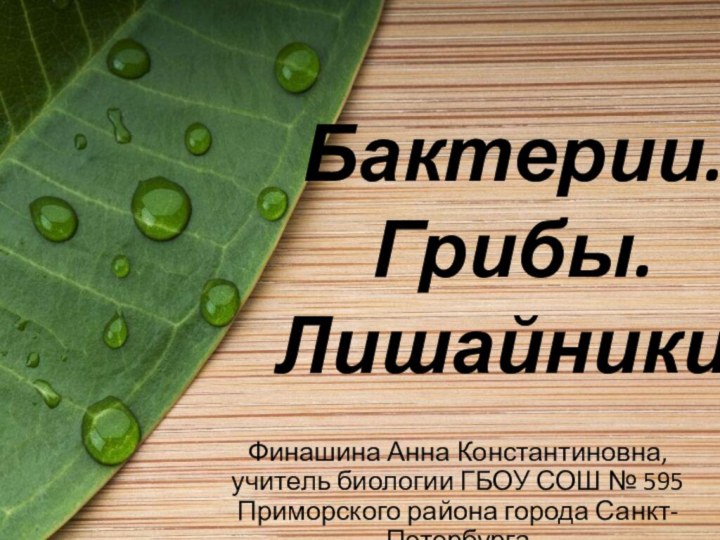 Бактерии. Грибы. Лишайники.Финашина Анна Константиновна, учитель биологии ГБОУ СОШ № 595 Приморского района города Санкт-Петербурга