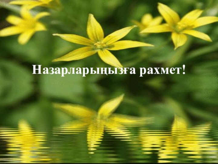 Назарларыңызға рахмет!