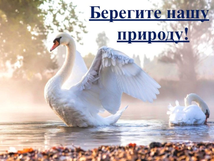 Берегите нашу природу!