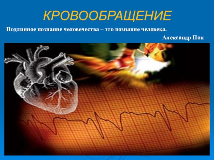 КРОВООБРАЩЕНИЕПодлинное познание человечества – это познание человека.