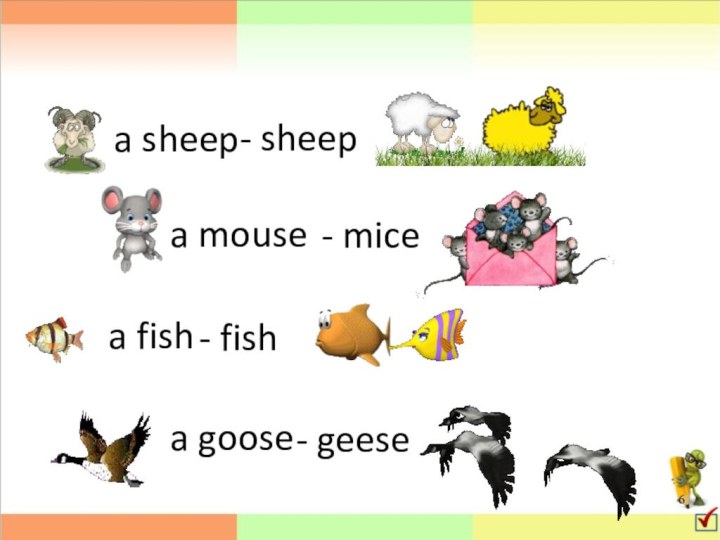 a sheepa mousea fisha goose- sheep- mice- fish- geese