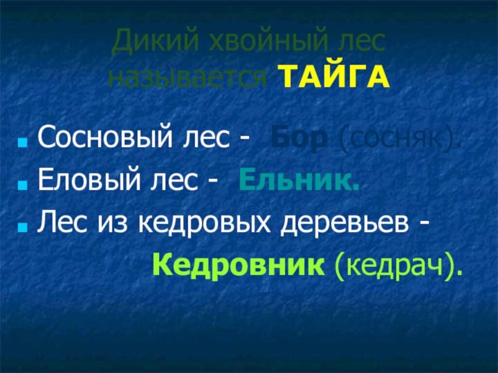 Дикий хвойный лес называется ТАЙГАСосновый лес - Бор (сосняк).Еловый лес - Ельник.Лес