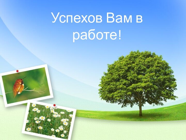 Успехов Вам в работе!