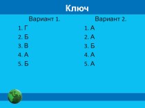 Презентация по информатике на тему Классификация программного обеспечения