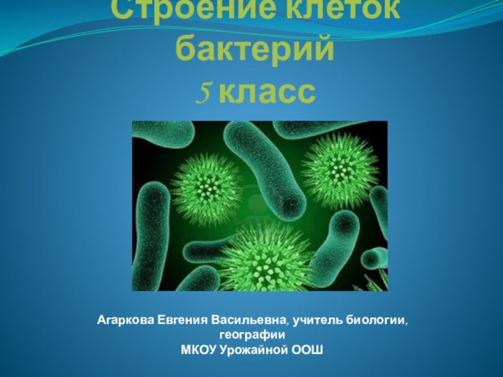 Строение клеток бактерий 5 классАгаркова Евгения Васильевна, учитель биологии, географии МКОУ Урожайной ООШ