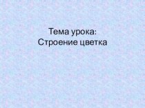 Презентация по биологии на тему  Строение цветка