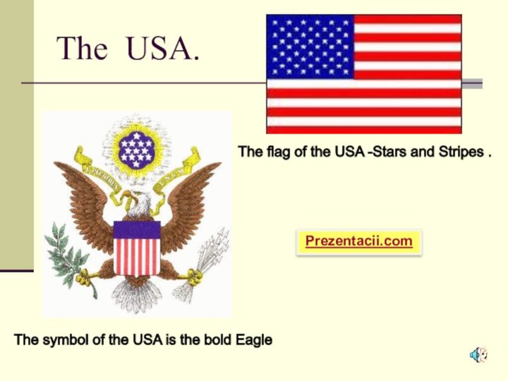 The USA.The symbol of the USA is the bold Eagle The flag