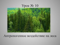 Презентация по Экологическим основам природопользования на тему Антропогенное воздействие на леса