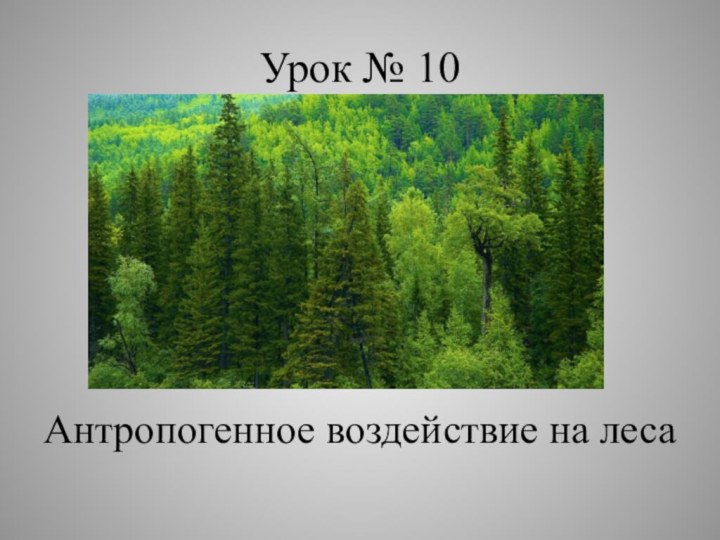 Урок № 10Антропогенное воздействие на леса