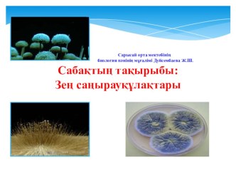 Презентация по биологии на тему Зең саңырауқұлақтары 8 класс