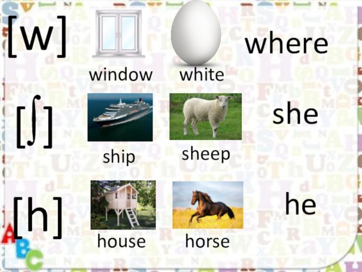 [w]windowwhitewhere[∫]shipsheepshe[h]househorsehe